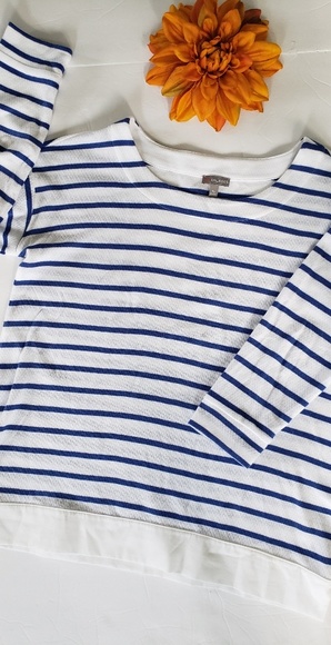 TALBOTS STRIPED BLUE&WHITE SWEATER - Picture 8 of 9
